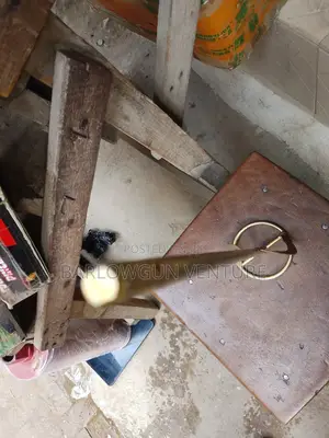 Mixer Irons