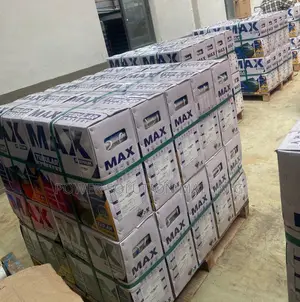 Max 12v 220a Tubular Battery