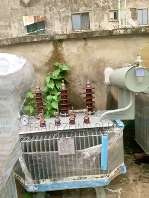 Transforming Energy Astor Power Transformer