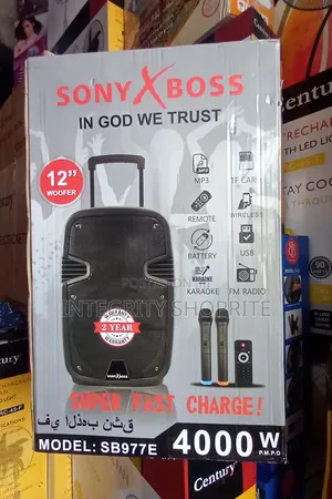 Rechargeable Bluetooth Speaker System Wireless Microphone