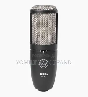 AKG P420 Studio Condenser Microphone