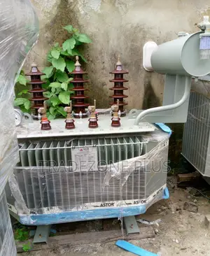 Electrifying Excellence Astor Power Transformer