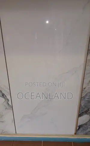 Polished Tiles