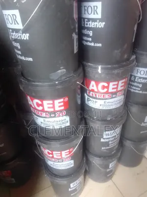 Wall Screeding Paint