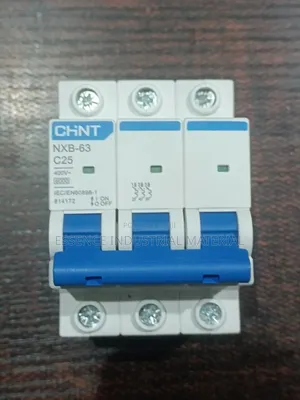 Chint Circuit Breaker 25A