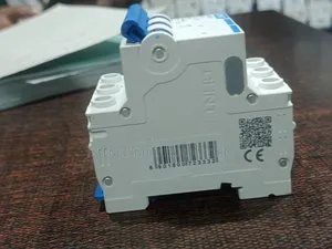 Chint Circuit Breaker 25A