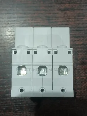 Chint Circuit Breaker 25A