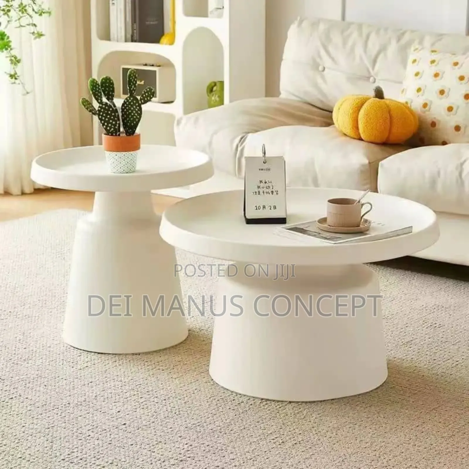 Unique Centre Table and Side Table