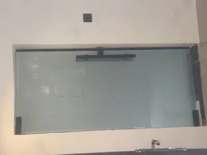 10mm Frosted Frameless Door