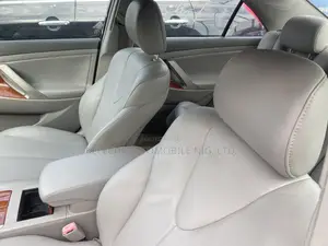 Toyota Camry 2010 Gray