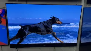 Ultimate 55” Panasonic Uhd Oled With Absolute Pure Black