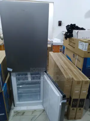 Hisense Fast-Selling 29DCA 225L Botttom Freezer (Modern)