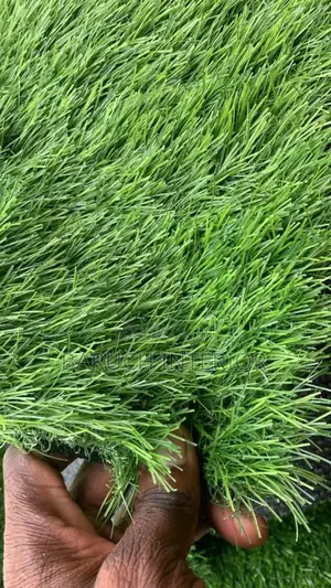 Carpet Grass Creations: Transforming Outdoor Spaces