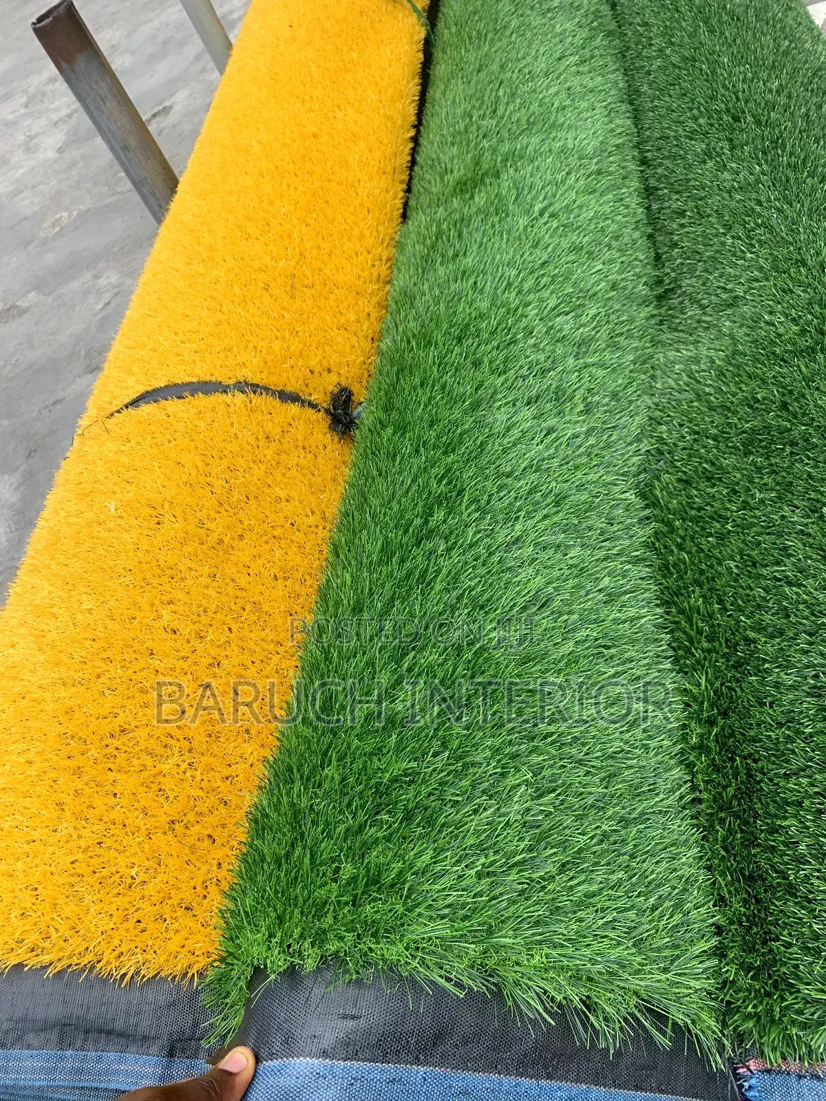 Green Bliss: Carpet Grass Solutions