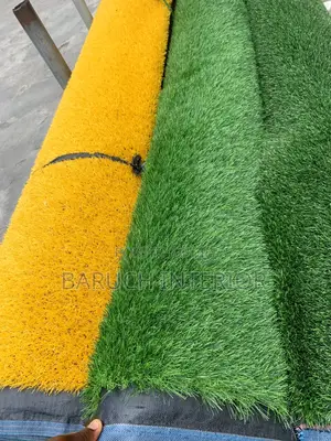 Green Bliss: Carpet Grass Solutions