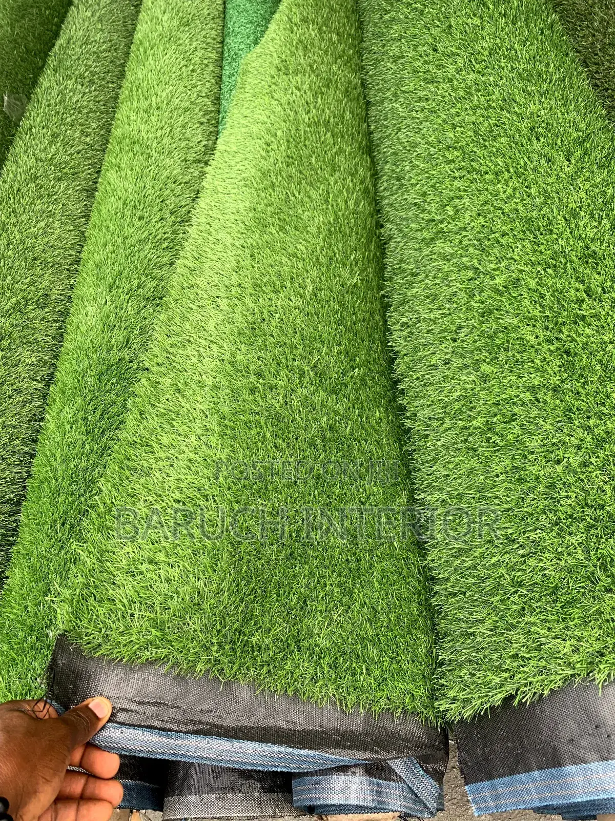 Green Bliss: Carpet Grass Solutions