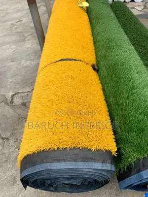 Lawn Luxury: Carpet Grass Designs
