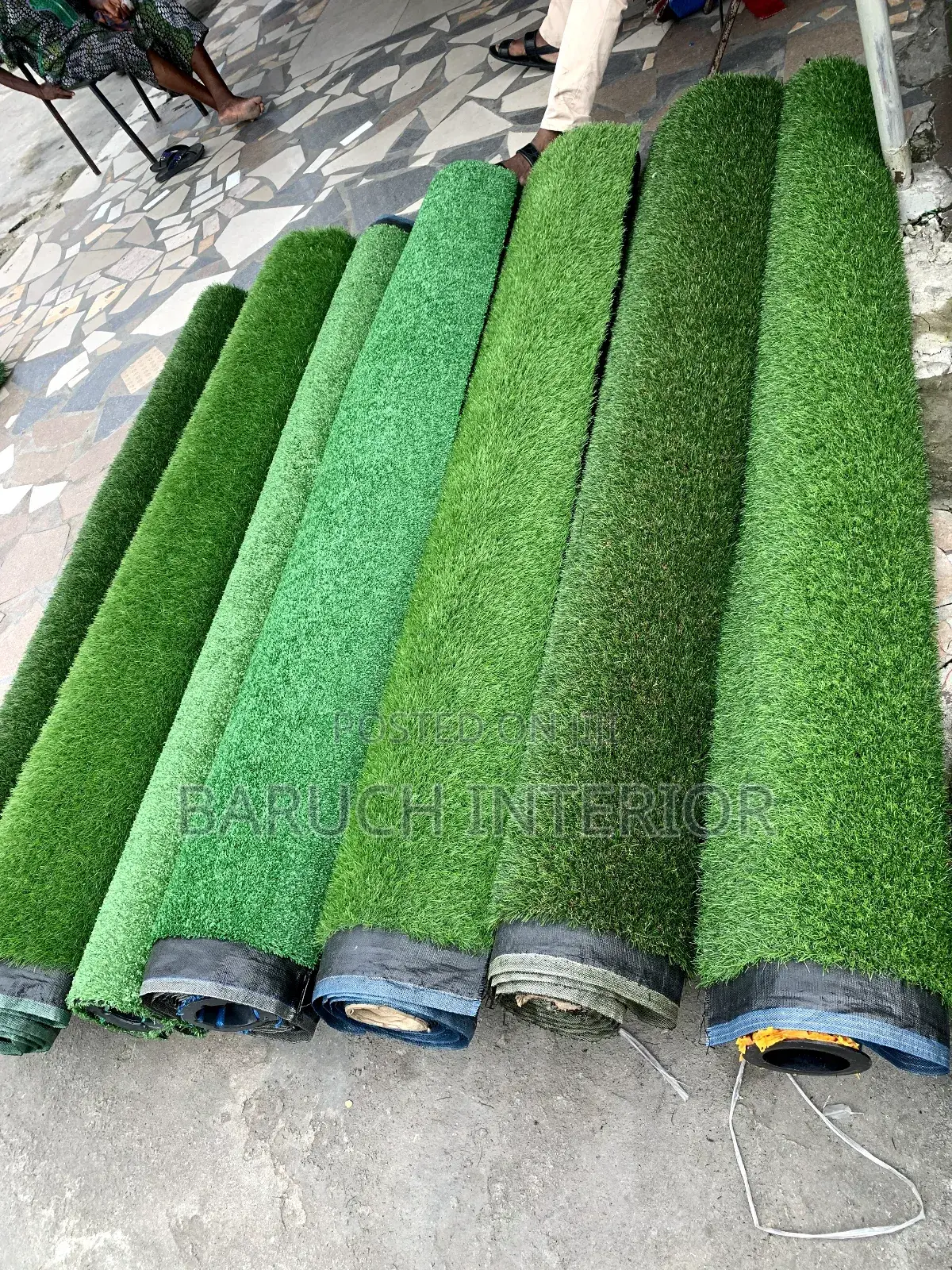 Turf Titans: Carpet Grass Experts