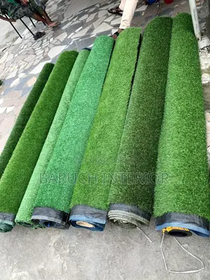 Turf Titans: Carpet Grass Experts