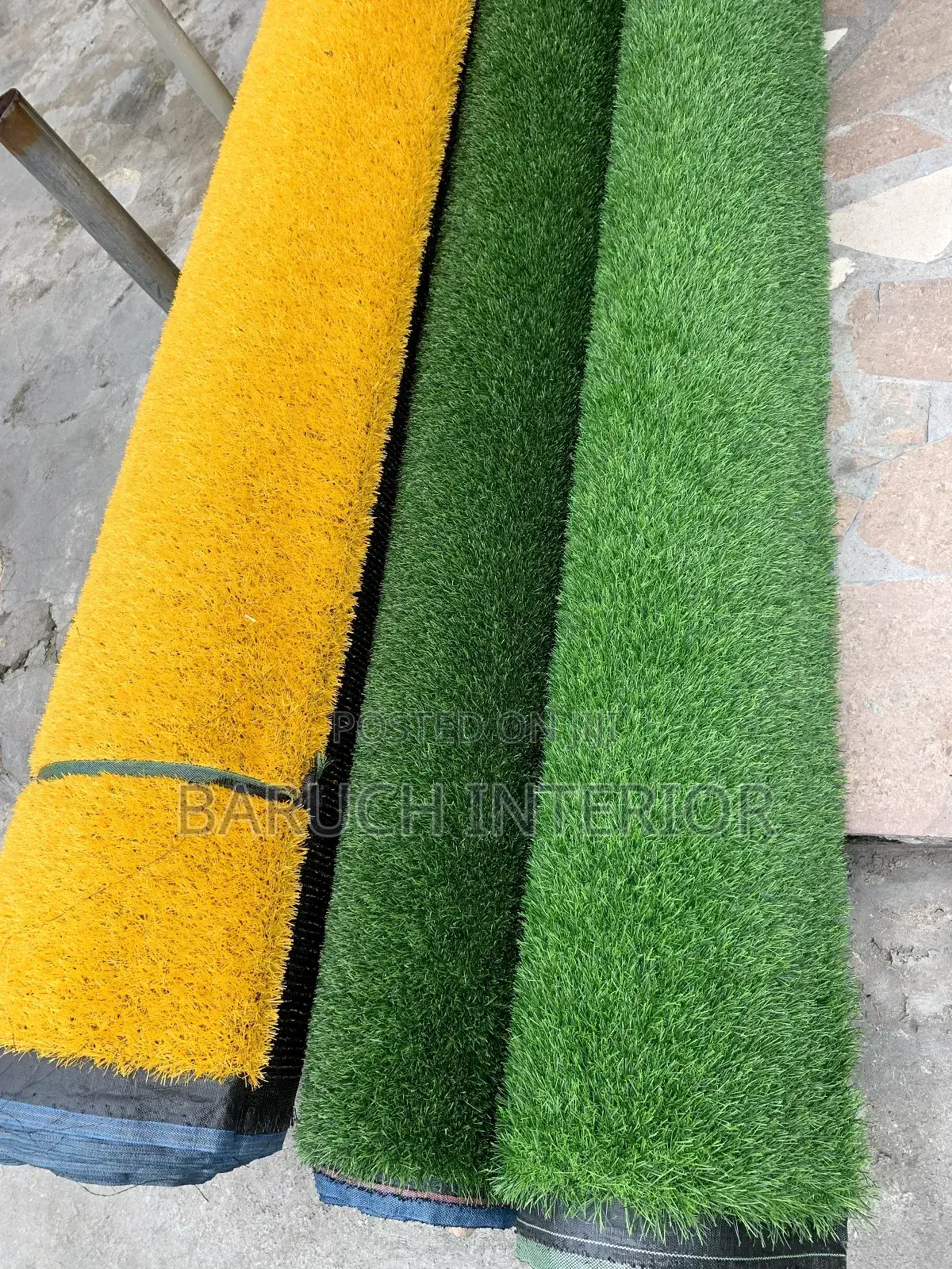 Turf Titans: Carpet Grass Experts