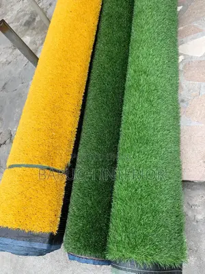 Turf Titans: Carpet Grass Experts
