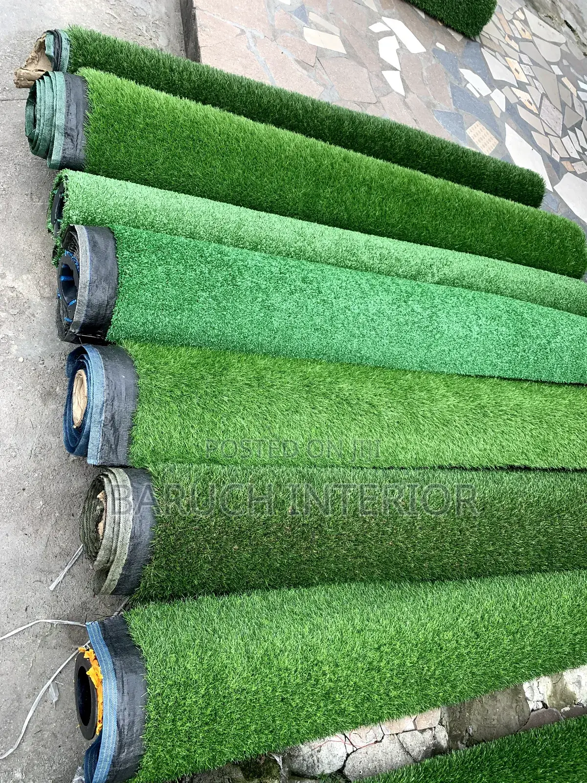 Grass Roots: The Carpet Grass Revolution