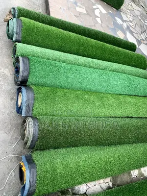 Grass Roots: The Carpet Grass Revolution