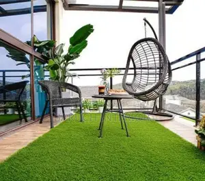 Carpet Grass Supplies For A Lush, Green Lawn