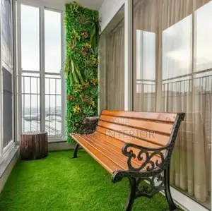 Experience the Beauty of Carpet Grass