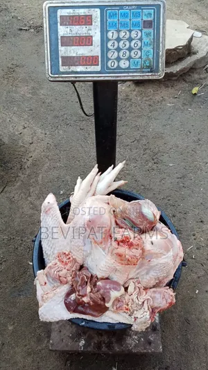 Big Foreign Turkey