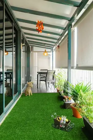 Get the Perfect Lawn With Our Carpet Grass Solutions