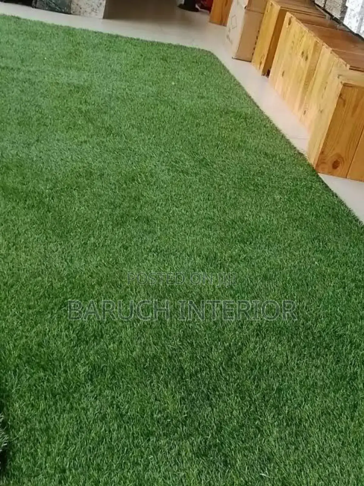 Get the Perfect Lawn With Our Carpet Grass Solutions