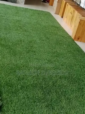Get the Perfect Lawn With Our Carpet Grass Solutions