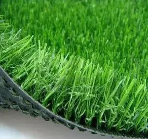 Green, Gorgeous, and Low-Maintenance: Carpet Grass