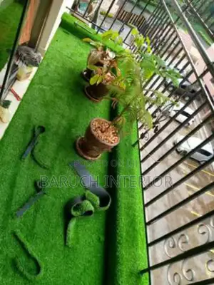 The Perfect Turf: Carpet Grass for Homes and Businesses