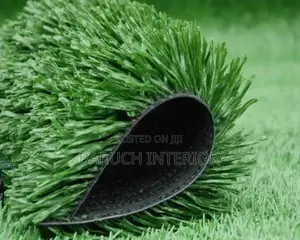 The Perfect Turf: Carpet Grass for Homes and Businesses