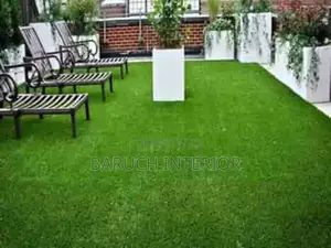 Transform Your Outdoor Space With Carpet Grass