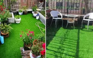 Transform Your Outdoor Space With Carpet Grass