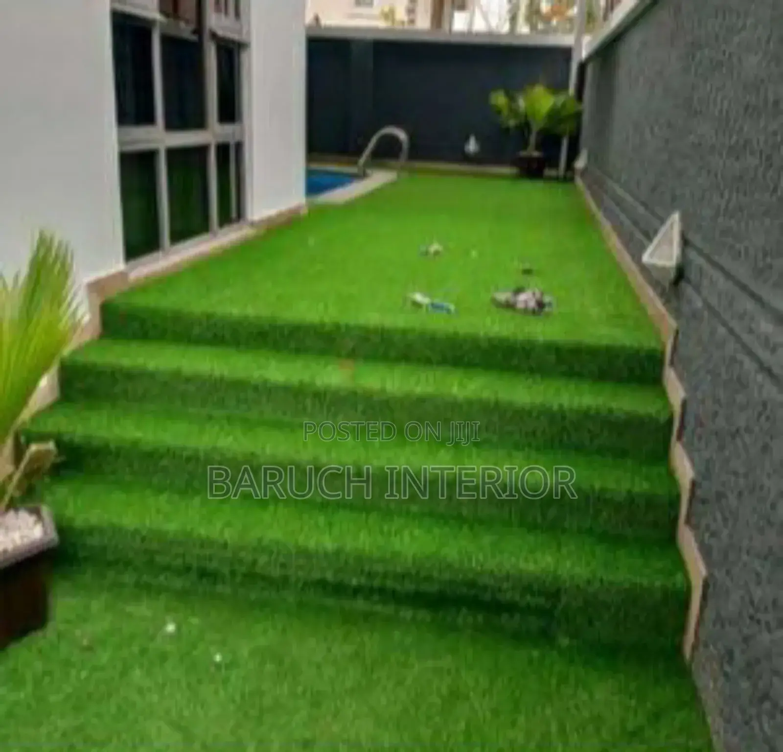 Soft, Durable, and Lush: Carpet Grass