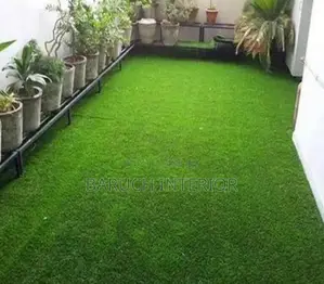 Lawn Luxury: Carpet Grass Designs, Green Bliss: Grass