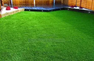 Lawn Luxury: Carpet Grass Designs, Green Bliss: Grass