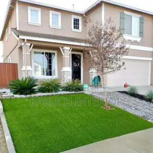 Carpet Grass Revolution, Turf Titans: Carpet Grass Experts
