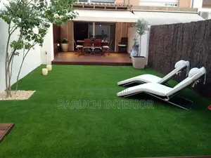 Experience the Beauty of Carpet Grass, Green Lawn