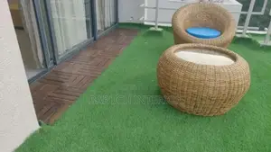 Experience the Beauty of Carpet Grass, Green Lawn