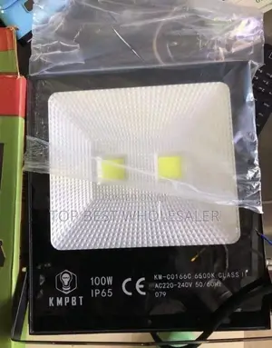 100w Outdoor Floodlight