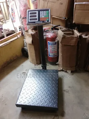 300kg Platform Scale