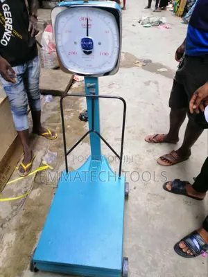 300kg Manual Digital Scale