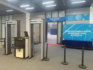 Walk-Through Metal Detector