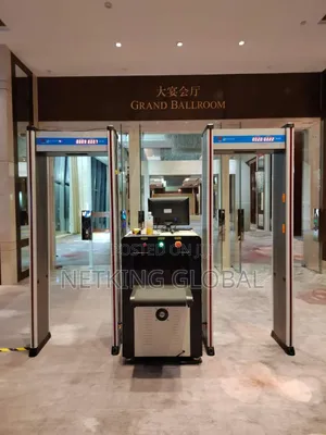 Walk-Through Metal Detector