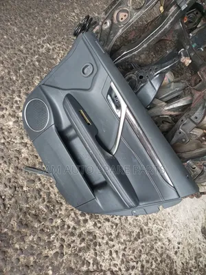 Lexus RX 350 2019 Model Door Mat Front Right Side